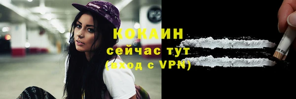 Альфа ПВП Дмитровск